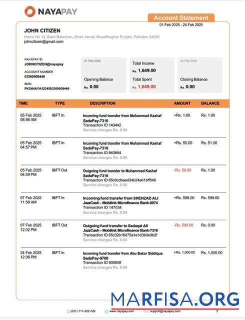 Realistic Pakistan NayaPay account statement word download for verification